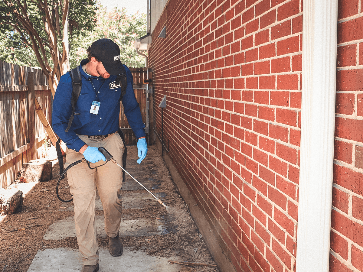 Fumigation Service