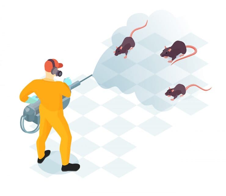 Routine pest treatment and prevention service